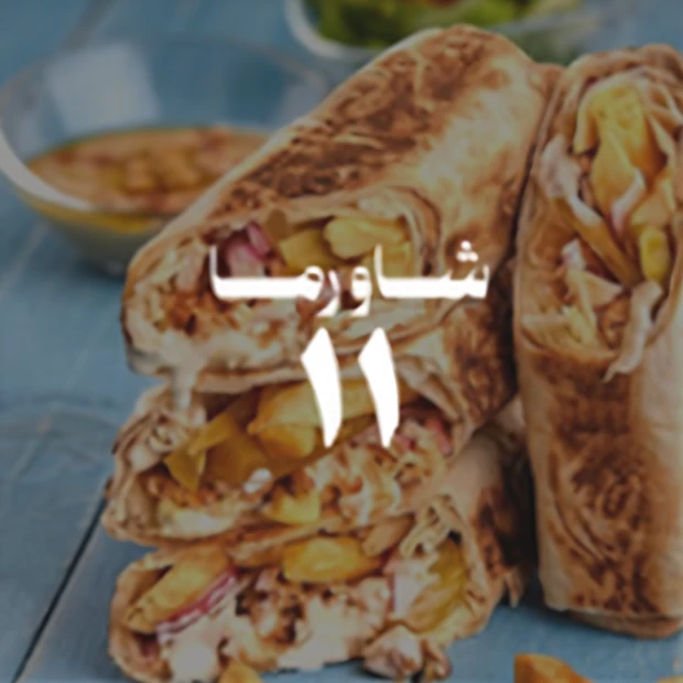 Shawarma 11, new TROFI concept